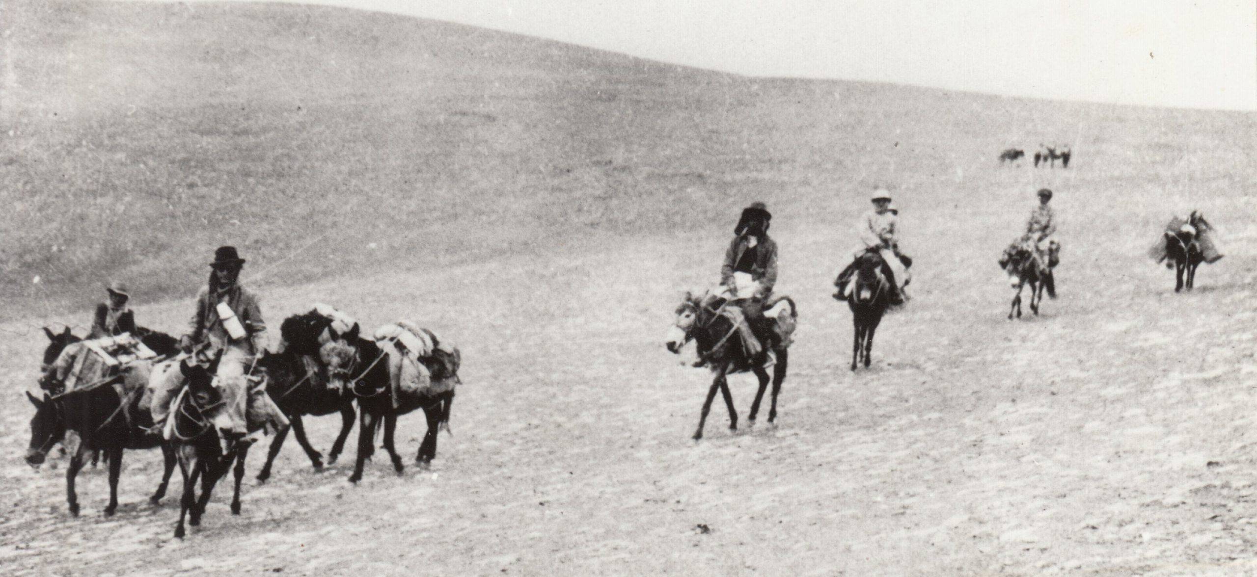 The caravan of Sanuman