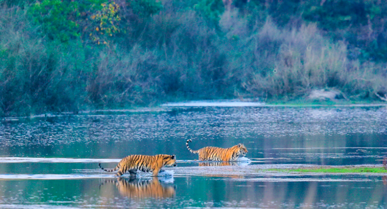 Bardiya National Park to reopen from Friday