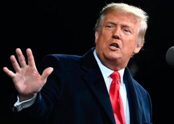Elon Musk Interviews Donald Trump on Social Media Platform X